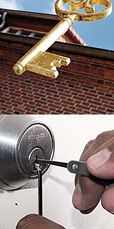 Insects Screens About 0001 Free Img