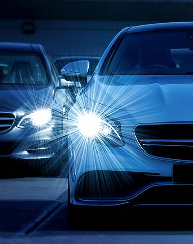 Insects Screens Services 01 Free Img 2