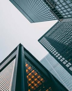 Insects Screens Services 03 Free Img 238x300 1